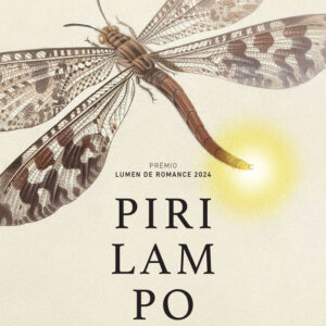 Pirilampo, Natalia Litvinova, Deus Me Livro, Dom Quixote, D. Quixote, Crítica,