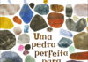 Uma Pedra Perfeita Para Ti, Fábula, Deus Me Livro, Crítica, Mary Lyn Ray, Felicita Sala,