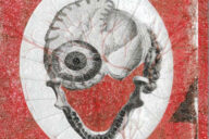 Vénus Anatómica, Filipe Homem Fonseca, Abysmo, Deus Me Livro, Crítica,