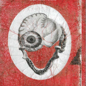 Vénus Anatómica, Filipe Homem Fonseca, Abysmo, Deus Me Livro, Crítica,