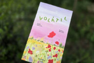 Volátil, Deus Me Livro, Crítica, Alex Nogués, Elena Mompó, Akiara Books, Akiara,