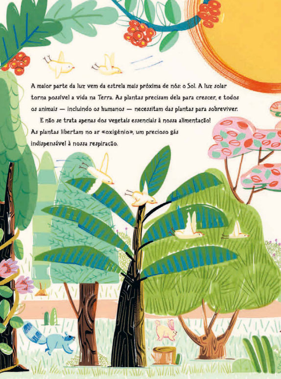 Luz, Nuvem de Letras, Deus Me Livro, Crítica, A extraordinária energia que ilumina o nosso mundo, Jess Wade, Ana Sanfelippo,