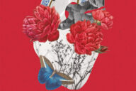 Morte Aparente, Carolina Fulcher, Deus Me Livro, Crítica, Penguin,