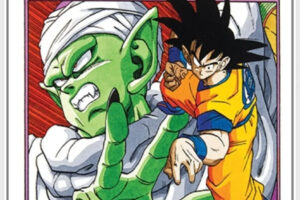 Dragon Ball 6, Dragon Ball, Deus Me Livro, Devir, Crítica, Duelo do Dragão e do Tigre, Akira Toriyama,