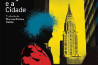 A Mulher Singular e a Cidade, Deus Me Livro, Crítica, D. Quixote, Dom Quixote, Vivian Gornick,