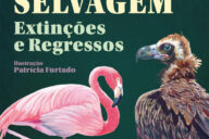 Curtas da Estante, Penguin, Deus Me Livro, Portugal Selvagem, Paulo Caetano, Miguel Brandão Pimenta,