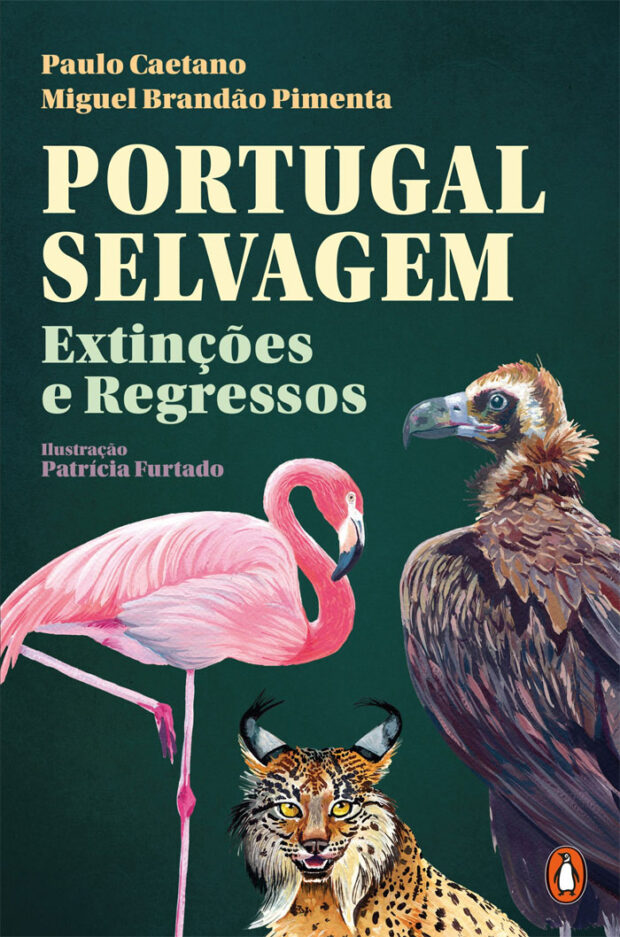 Curtas da Estante, Penguin, Deus Me Livro, Portugal Selvagem, Paulo Caetano, Miguel Brandão Pimenta,