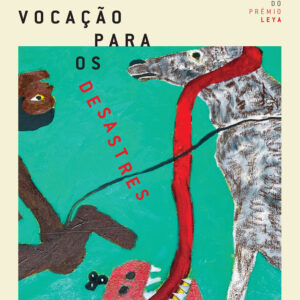 Vocação para os Desastres, José Carlos Barros, Deus Me Livro, Crítica, D. Quixote, Dom Quixote,